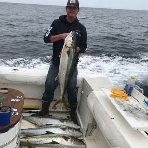 Meet your Posher, William